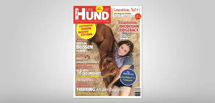 DER HUND Cover 10/2017