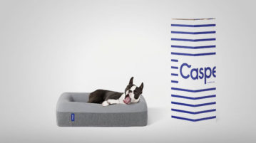 Tierisch entspannen: Hundebett Casper Hundebett Casper