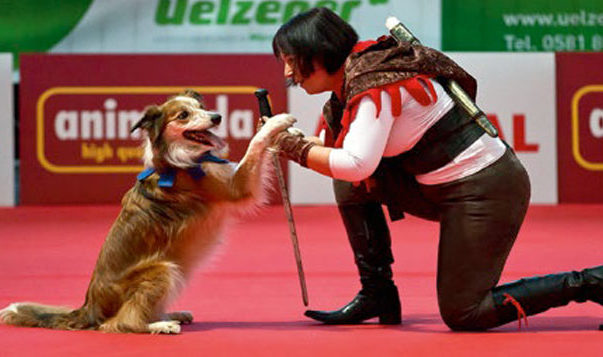 Gewinne: Eintrittscodes für die ANIMAL Messe Animal Stuttgart