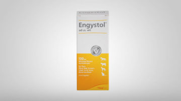 Immunsystem stärken