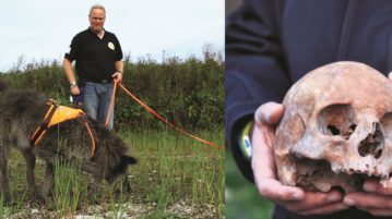 Archäologiehund Flintstone sucht menschliche Knochen.