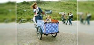 Frauchen und Hund mit Lastenrad am Strand