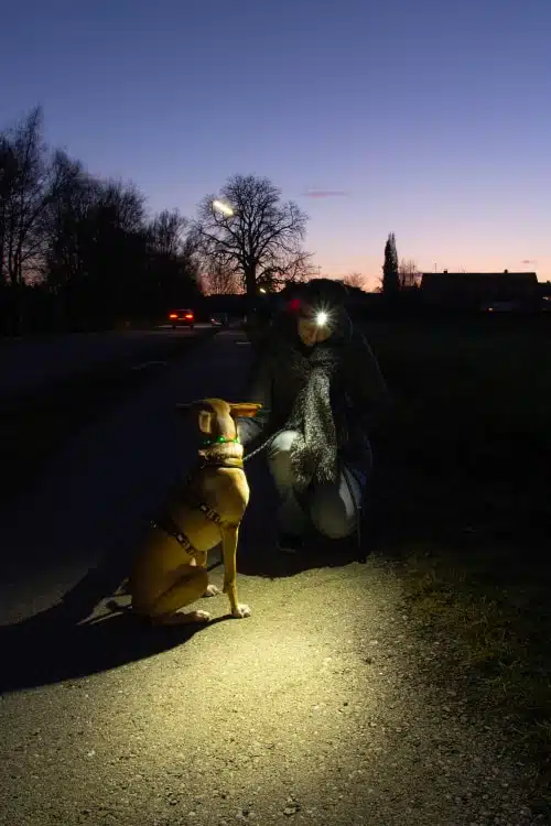 Hundehalterin mit Stirnlampe leuchtet im Dunkeln auf den Weg. Im Lichtkegel sitzt ein Hund.