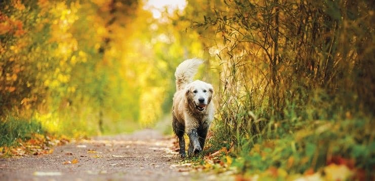 Bewegung im Herbst ist gesund