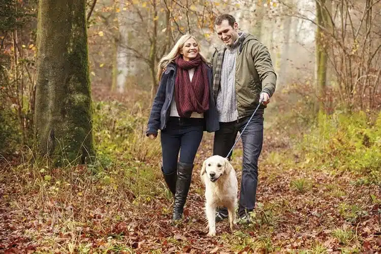 Paar geht mit Hund im Herbstwald spazieren.