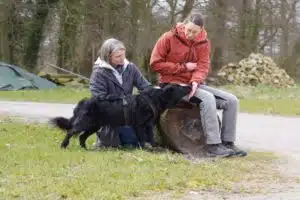 Training mit Tierschutzhund aus Rumänien