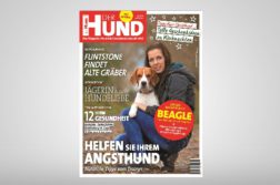 DER HUND Ausgabe 12/17 Cover