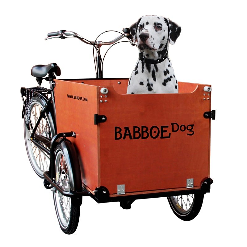 Das Babboe Dog ist ein Lastenrad für Hunde