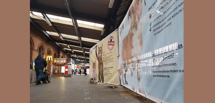 Banner-Aktion für Tierheimtiere am Bahnhof Bonn