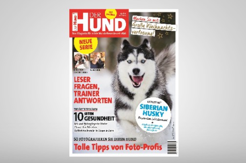 Milz des Hundes » DER HUND