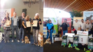 Die Halbfinalisten im Rennen um das Doglive-Multitalent 2018