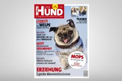 Cover DER HUND Ausgabe 3/18