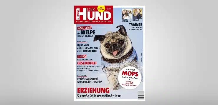 Cover DER HUND Ausgabe 3/18