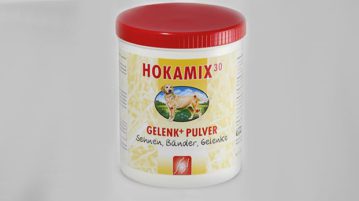 Gesunde Knochen, Gelenke und Muskeln