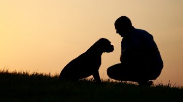 Sil­hou­et­te Mann mit Hund