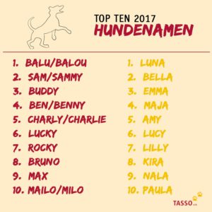 beliebteste Hundenamen 2017
