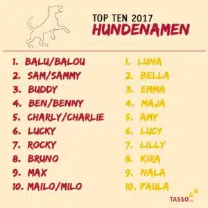 beliebteste Hundenamen 2017