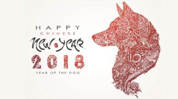 Chinesisches Neujahrsfest: 2018 ist das Jahr des Hundes 2018 ist das chinesische Jahr des Hundes