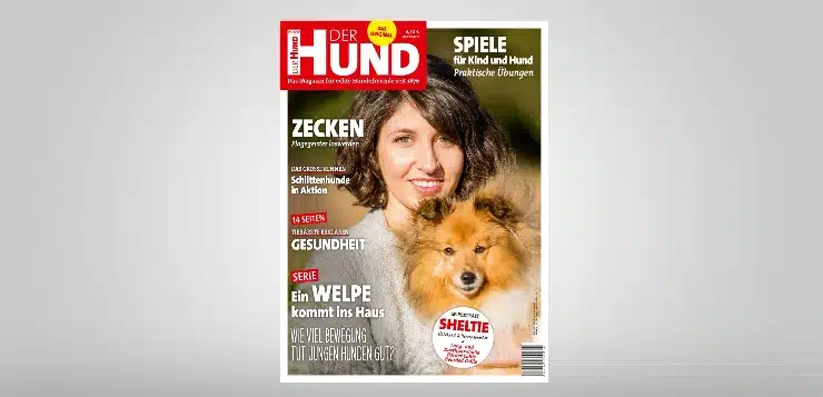 DER HUND; Ausgabe 4/18, Cover