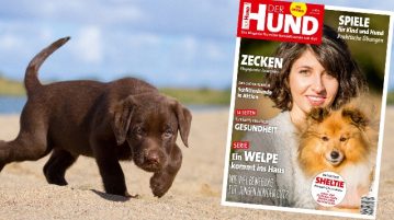 Ausgabe 4/18 von DER HUND