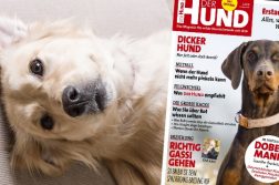 Ausgabe 5/18 des Magazins DER HUND