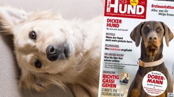 Ausgabe 5/18 des Magazins DER HUND