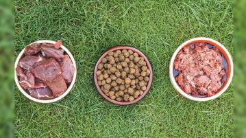 verschiedene Hundefuttersorten in Näpfen