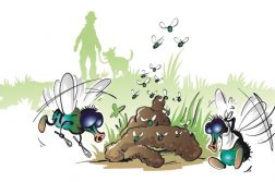 Illustration von Fliegen, die um einen Hundehaufen fliegen
