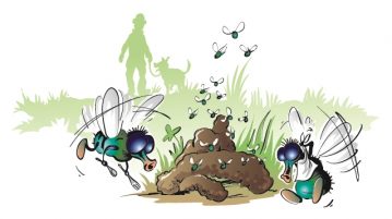 Illustration von Fliegen, die um einen Hundehaufen fliegen