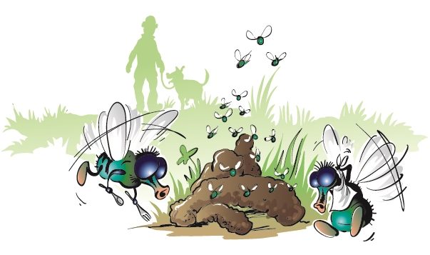 Shit happens … Illustration von Fliegen, die um einen Hundehaufen fliegen