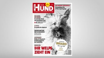 Cover 6/18 von DER HUND