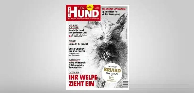 Cover 6/18 von DER HUND