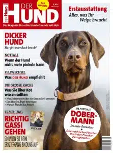 Cover der Ausgabe 5/2018 von DER HUND, brauner Dobermann