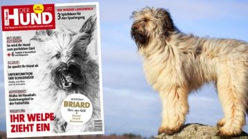 Hunderasse Briard, Cover der Ausgabe 6/18 von DER HUND