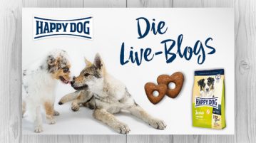 Futtertest von Happy Dog auf stadthunde.com Happy Dog Futtertest