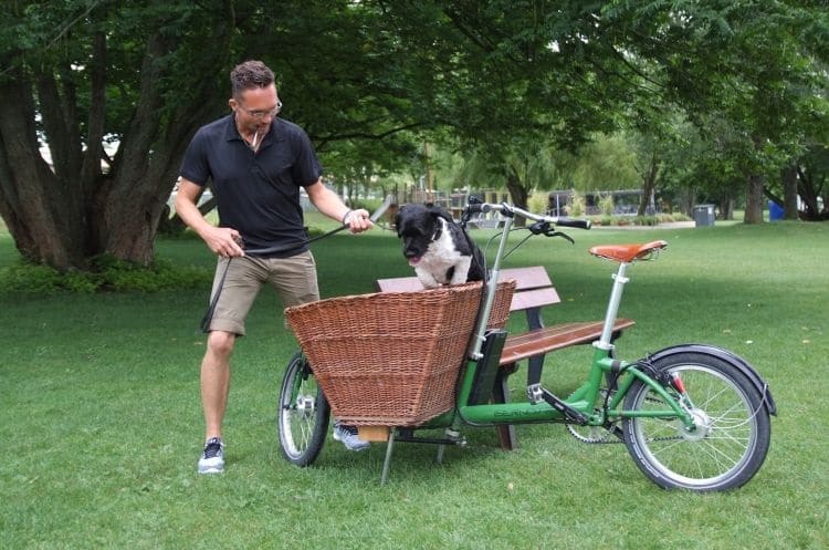 Hundetrainer lässt Hund kontrolliert in den Korb des Lastenrads hüpfen