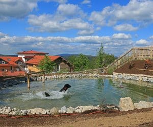 Landhotel Waldeck