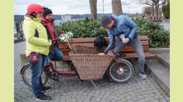 Hund lernt, in den Korb eines Lastenrads einzusteigen.
