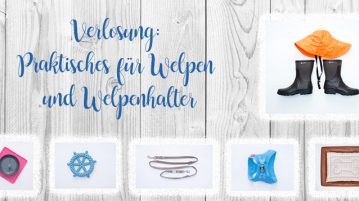 Verlosung: Ausrüstung für Welpenhalter