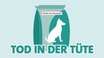 Bewahre deinen Hund vor diesem schrecklichen Schicksal Tüten sind gefährlich für Hunde