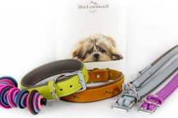 Das Lederband – weich, natürlich, farbenfroh