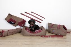 Royal Pets – im königlich englischen Design