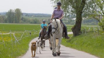 Gruppe von Reitern mit Hunden im Gelände