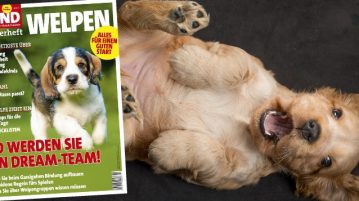 UNSER SONDERHEFT „WELPEN“