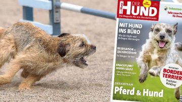 NEU: DER HUND AUSGABE 07/2018 Border Terrier in Ausgabe 7/2018 von DER HUND