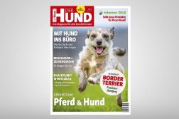 Cover DER HUND Ausgabe 7/2018