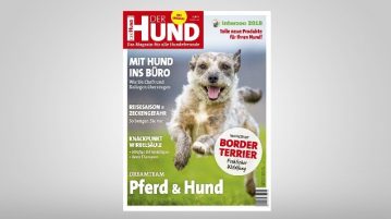 Cover DER HUND Ausgabe 7/2018
