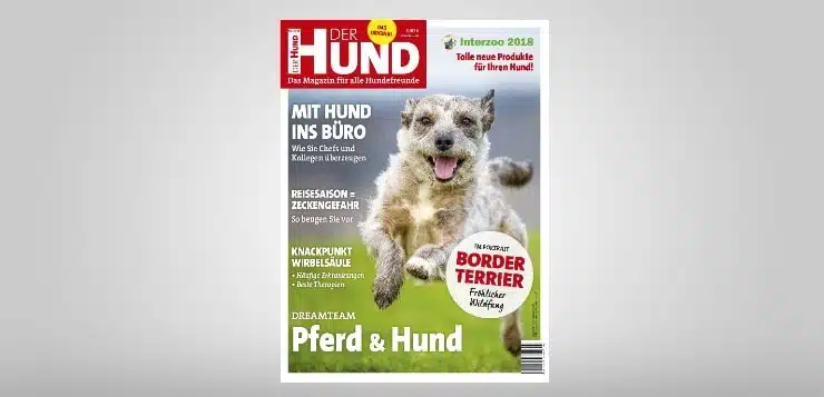 Cover DER HUND Ausgabe 7/2018