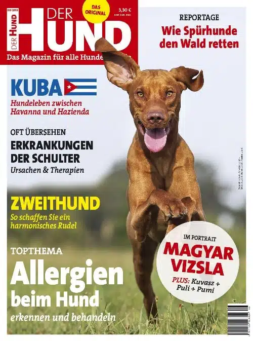 Cover Ausgabe 8/18 von DER HUND