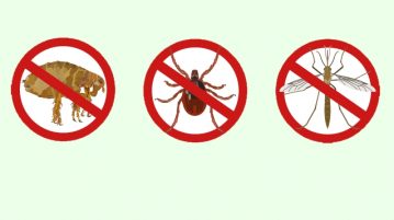 Floh, Zecke und Mücke auf verboten-Schildern